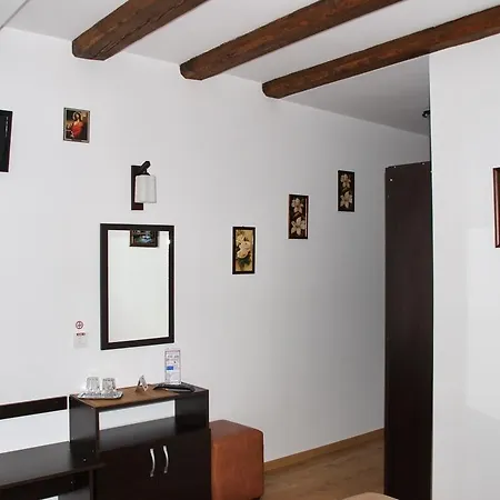 Guest house Pensiunea Viodor Vatra Dornei