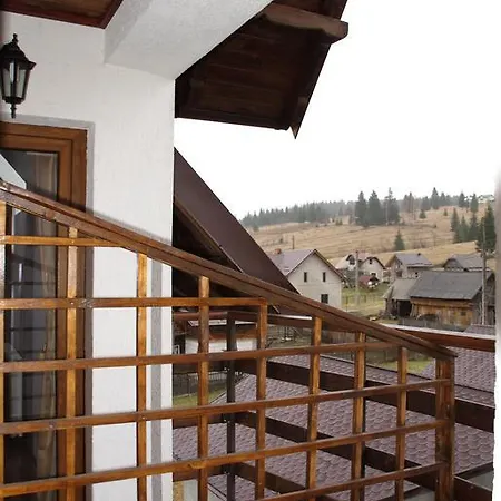 Pensiunea Viodor Guest house 3*
